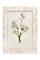 Hello Honey® Mother of Pearl 5" x 7" Photo Frame